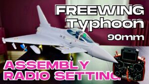 ASSEMBLY & RADIO SETTING • NEW Freewing Eurofighter Typhoon 90mm