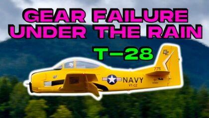 LANDING GEAR FAILURE ?️ GRASS OPS • E-flite Carbon-Z T-28