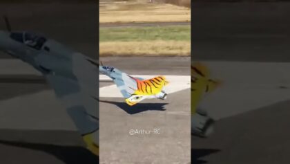 Lowest Flyby with Mirage 2000 ? #aviation #fighterjet #rcplane #freewing