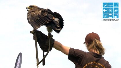 GREIFVOGELVORFÜHRUNG MOBILE FALKNEREI KOLITSCH ADLER, BUSSARD, EULE SEGELFLUGMESSE SCHWABMÜNCHEN