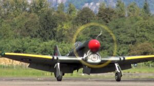 Hawker Tempest Mk.V – Scale 1/5