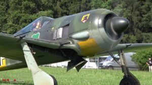 RC FW 190-A5 1/4 Scale With Moki 250cc