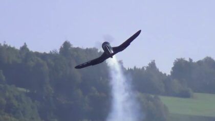 RC Warbird Action Hausen 2023 Corsair F4U and AT-6