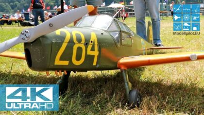 SK 25 BÜCKER BESTMANN BÜ 181 1:4 BÖRJE SEBRING (SWE)