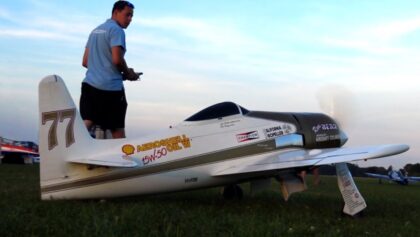 Sunset Display 1/4 Scale Rare Bear & Bearcat