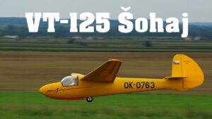 VT-125 Sohaj | scale RC glider | 4K | Hat
