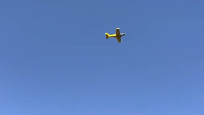 Carf Siai Marchetti im Kundenwunsch eingeflogen !