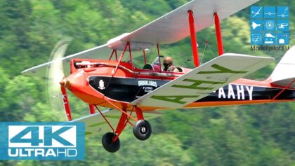 DH.60G GIPSY MOTH 1:3,3 ANDREAS PAUL (GER) F4 SCALE WORLD