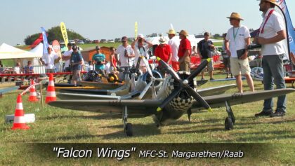 Falcon Wings – 6 Warbirds In Action