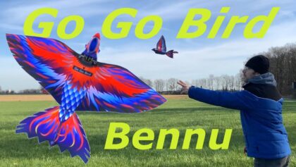 Go Go Bird 201 Bennu RC Mini Ornithopter | gogobird