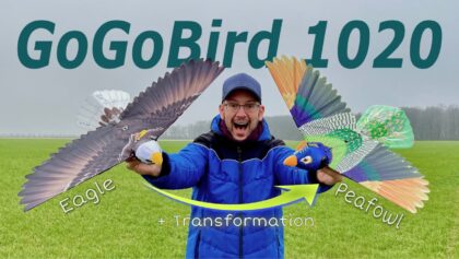 Go Go Bird EAGLE 1020 (V2) RC Ornithopter | Adler