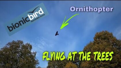 Kleine Roboter Amsel fliegt an den Bäumen | MetaBird from