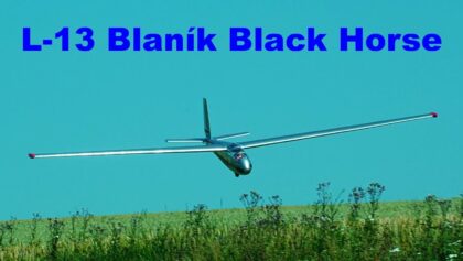 L-13 Blanik Black Horse Model | scale RC glider |
