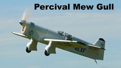 Percival Mew Gull | giant scale RC airplane | 4K