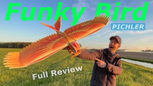 Pichler FunkyBird | der etwas andere RC Vogel | Slowflyer