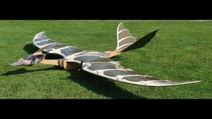 Pterodactylus RC + Robin 50e Sebart mit Marcel