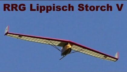 RRG Lippisch Storch V, scale RC flying wing, 2020