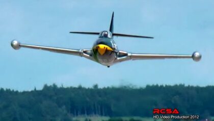 Rc Panther F-9F 20%