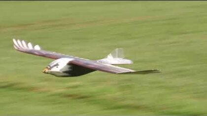 Robbe Twin Air – RC Adler – RC-Eagle, SBach