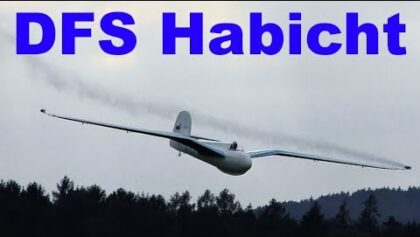 XXL DFS Habicht – Glider Aerobatics, Nesvacily 2019