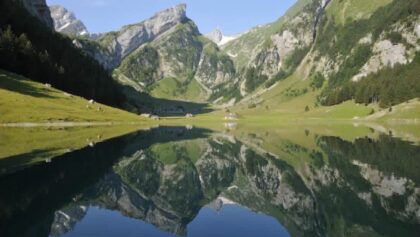 “early bird” Seealpsee renew 2020