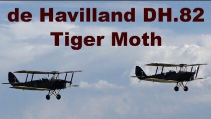 2x de Havilland DH.82 Tiger Moth, Pardubice Airshow 2019
