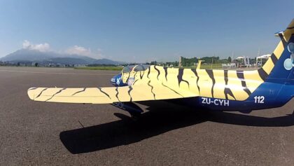 L29 Delfin – Elektro Jets Over Emmen 2013/3