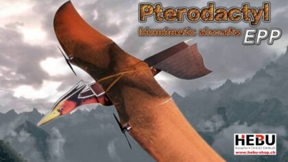 Pterodactyl RC-Flugsaurier DW-Hobby
