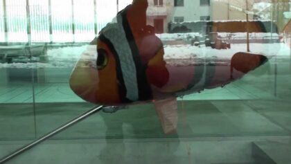 nemo air swimmer