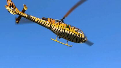 Big Gazelle with Turbine . Tigermeet.