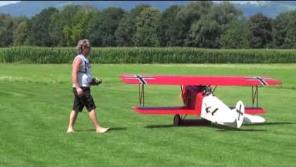 Fokker DVII Topmodell von Herbert