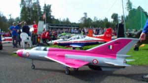 MIG-21 МиГ-21 HUGE RC TURBINE MODEL JET BY ROGER KNOBEL
