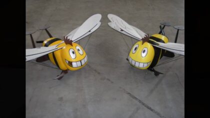 FMT Indoor Show Karlsruhe 2011 – Big Honey Bee