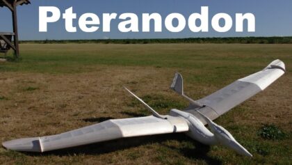 Pteranodon, maiden flight, RC model, 2017