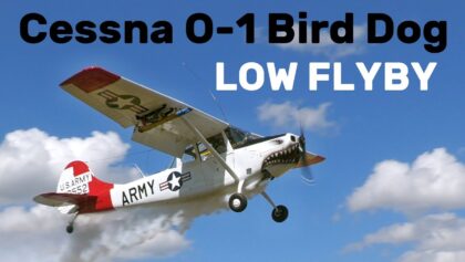 Cessna O-1 Bird Dog | LOW FLYBY and WALK AROUND