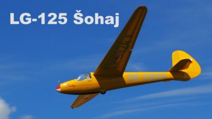 LG-125 Sohaj 2 | giant scale RC glider | RC