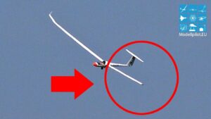 NO FAKE, Flying with a half wing leftside, Quintus M