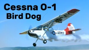 Cessna O-1 Bird Dog | LOW FLYBYs | 4K |