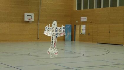 DM Indoor 2011 – F3P-Expert – Gernot Kuhr