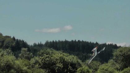 DMFV Airmeeting 3D Heli Action