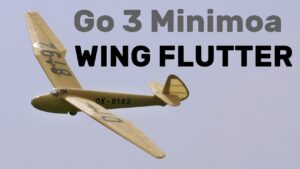 Goppingen Go 3 Minimoa | WING FLUTTER | 3,4m scale