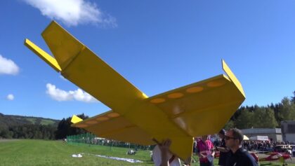 Looks like a Paper RC Airplane Hand Made