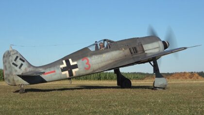 RC FW-190 A8 1/4 SCALE MOKI 250cc